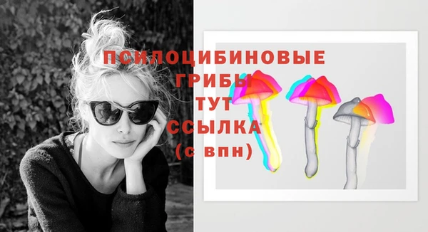 крисы Верхний Тагил