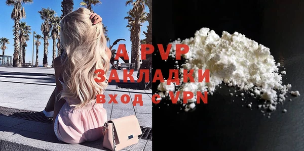 крисы Верхний Тагил