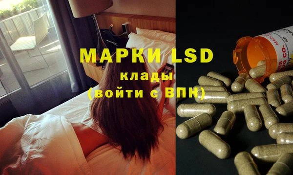 крисы Верхний Тагил