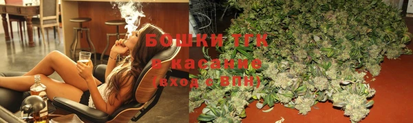 крисы Верхний Тагил