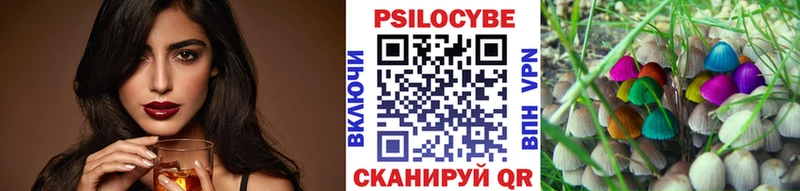 Купить закладки  Волчанск  Псилоцибиновые грибы Cubensis 